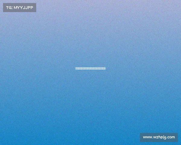 北仑女排赛事激情上演巅峰对决尽展排球魅力